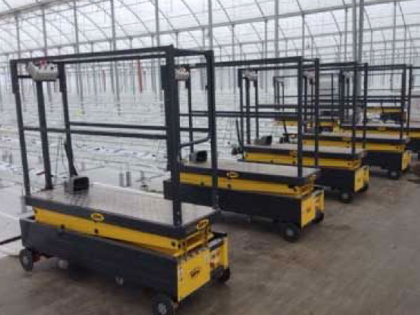rnkey Greenhouse and Hydroponic System Suppliers South africa